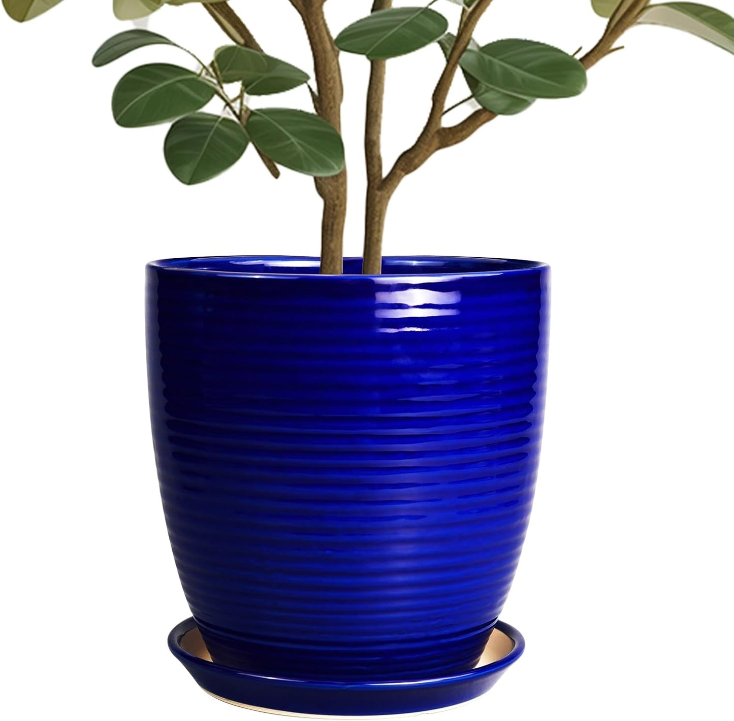 Ceramic Planter Pot - 10 Inch Indoor Flower Pot with Drainage