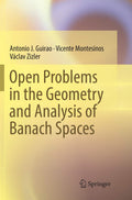 Open Problems in the Geometry and Analysis of Banach Spaces - Research