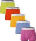 BAMBOO COOL Womens Bamboo Boxer Briefs - Soft Breathable Boy Shorts