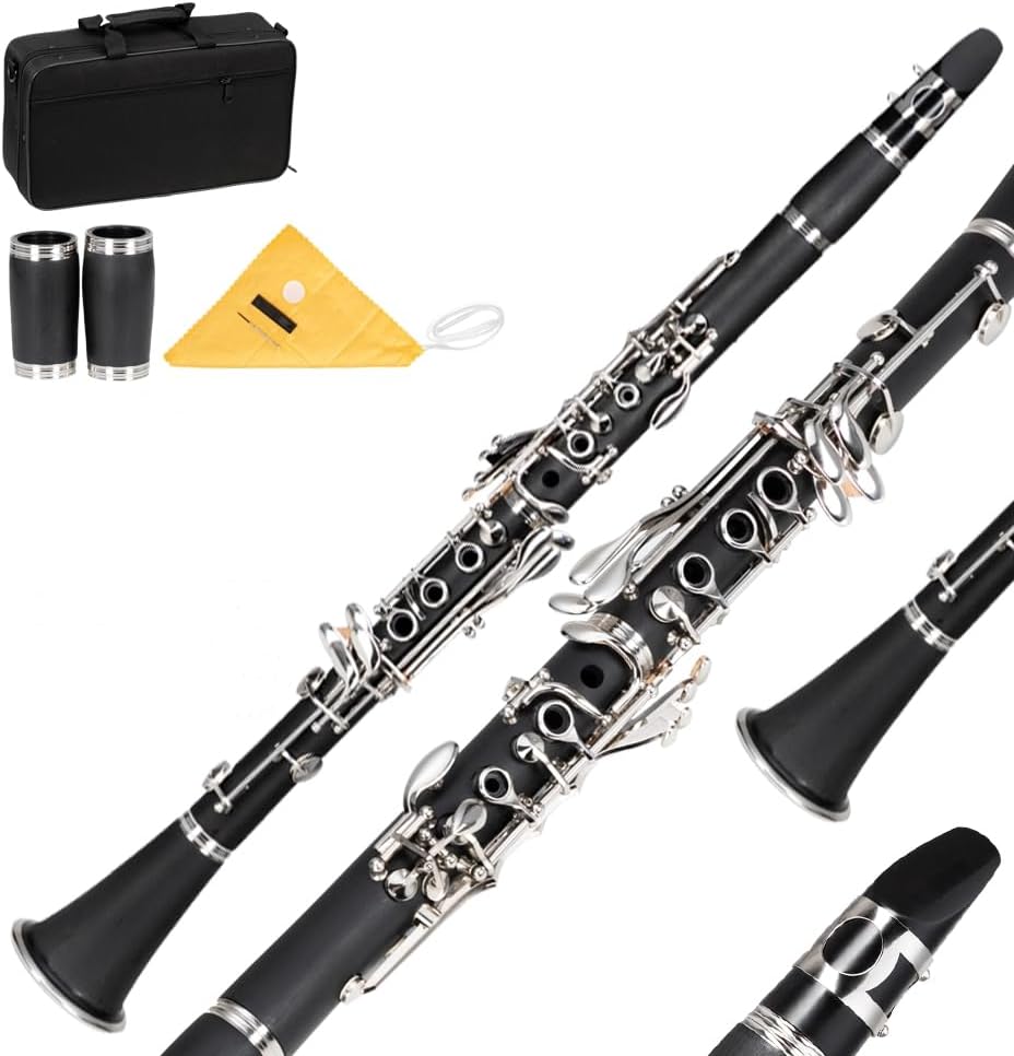 Ktaxon Bb Flat Clarinet for Beginners with Hard Case & Reeds