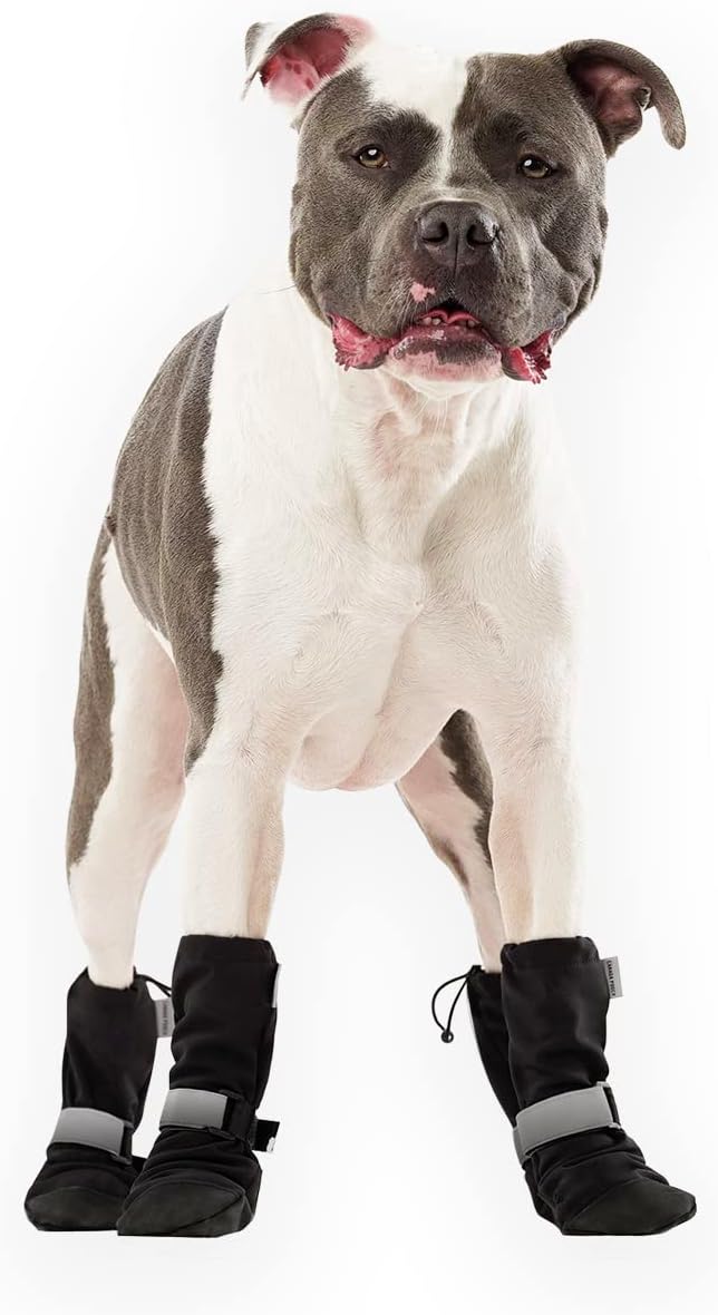 Canada Pooch Dog Winter Boots for All Weather Paw Protection
