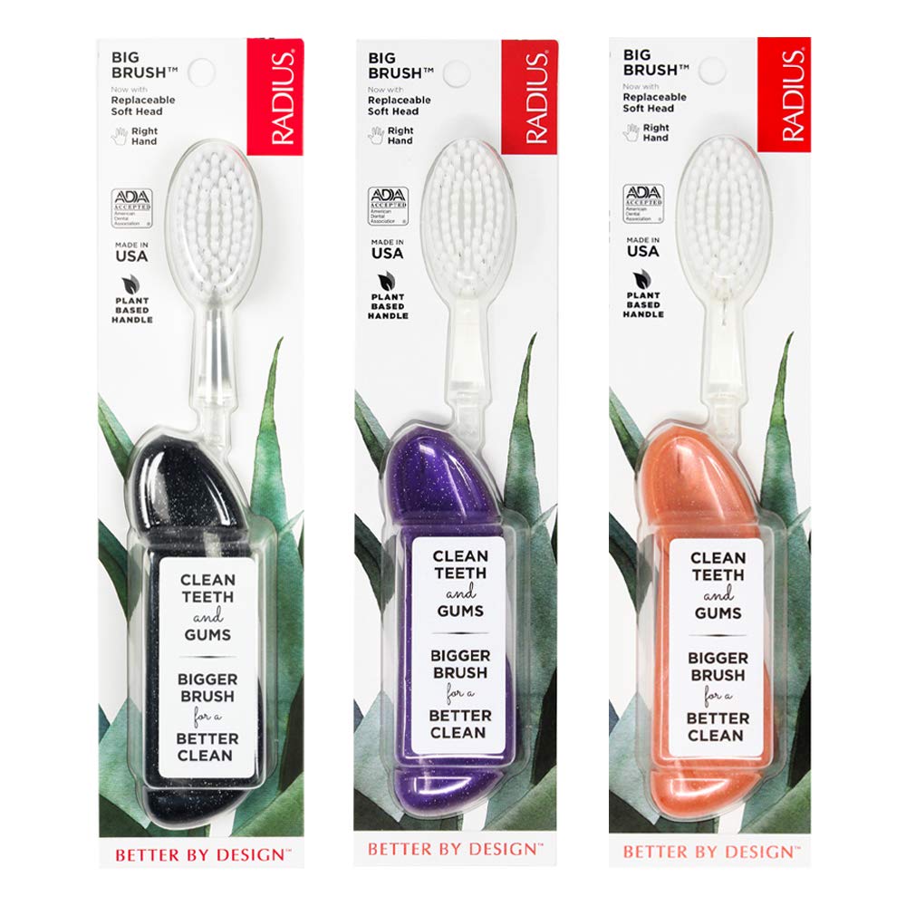 RADIUS Big Brush with Replaceable Head for Healthier Gums