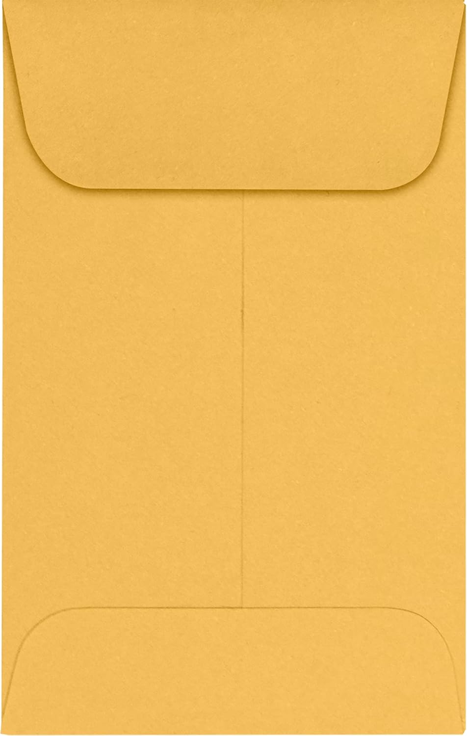 LUXPaper Coin Envelopes for Crafts and Small Items - 1,000 Pack