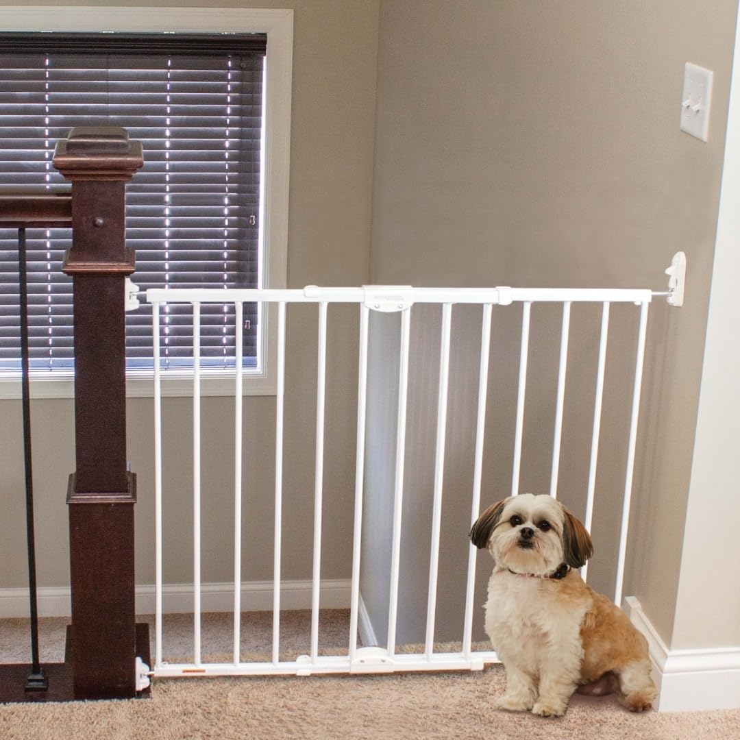 MyPet ClearPath Wide Staircase Pet Gate for Dogs - 31in Tall