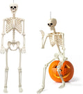 2-Pack 5.4FT Skeleton Halloween Decoration - Life Size Posable Pair