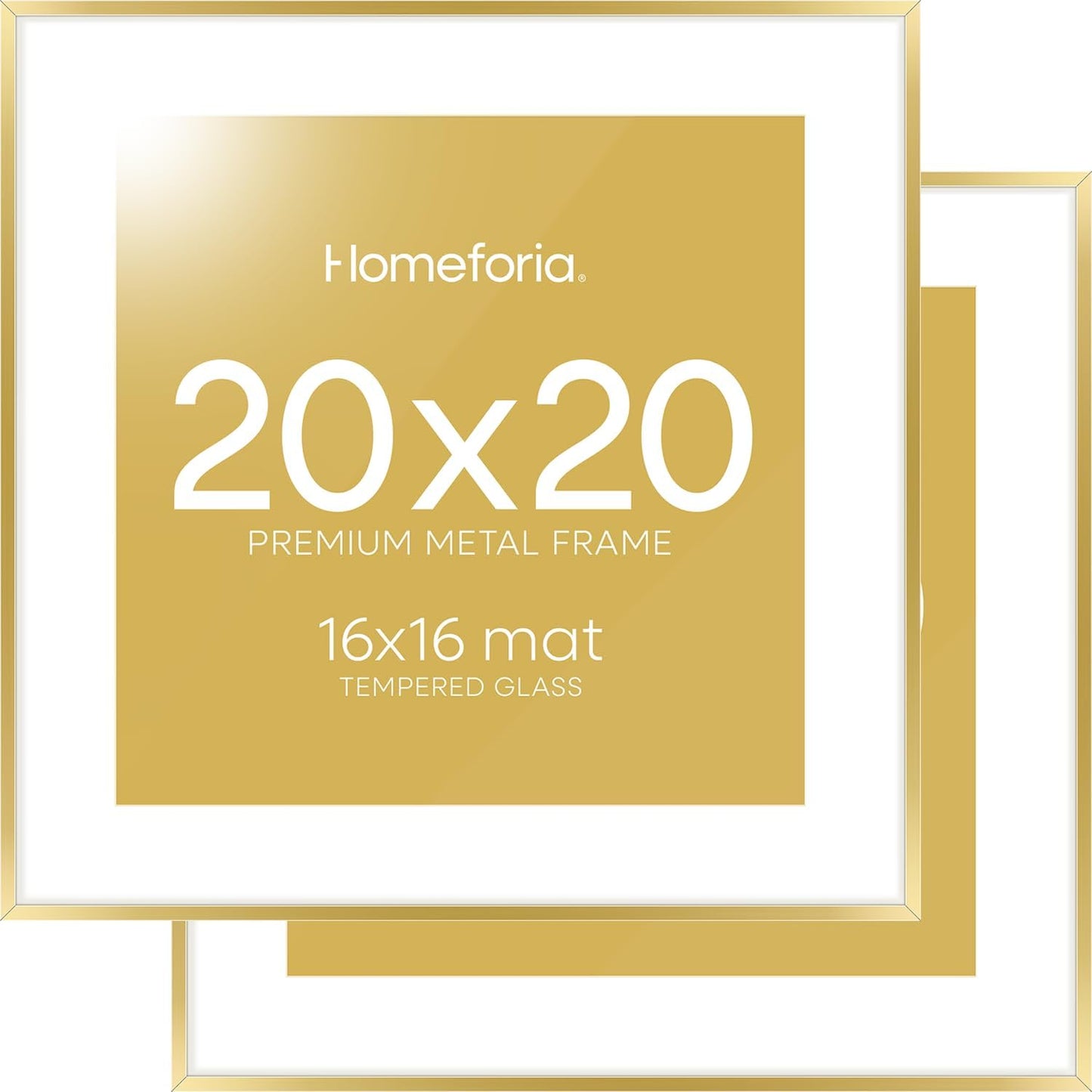 20x20 Gold Picture Frame Set of 2 with Mat for 16x16 Photos