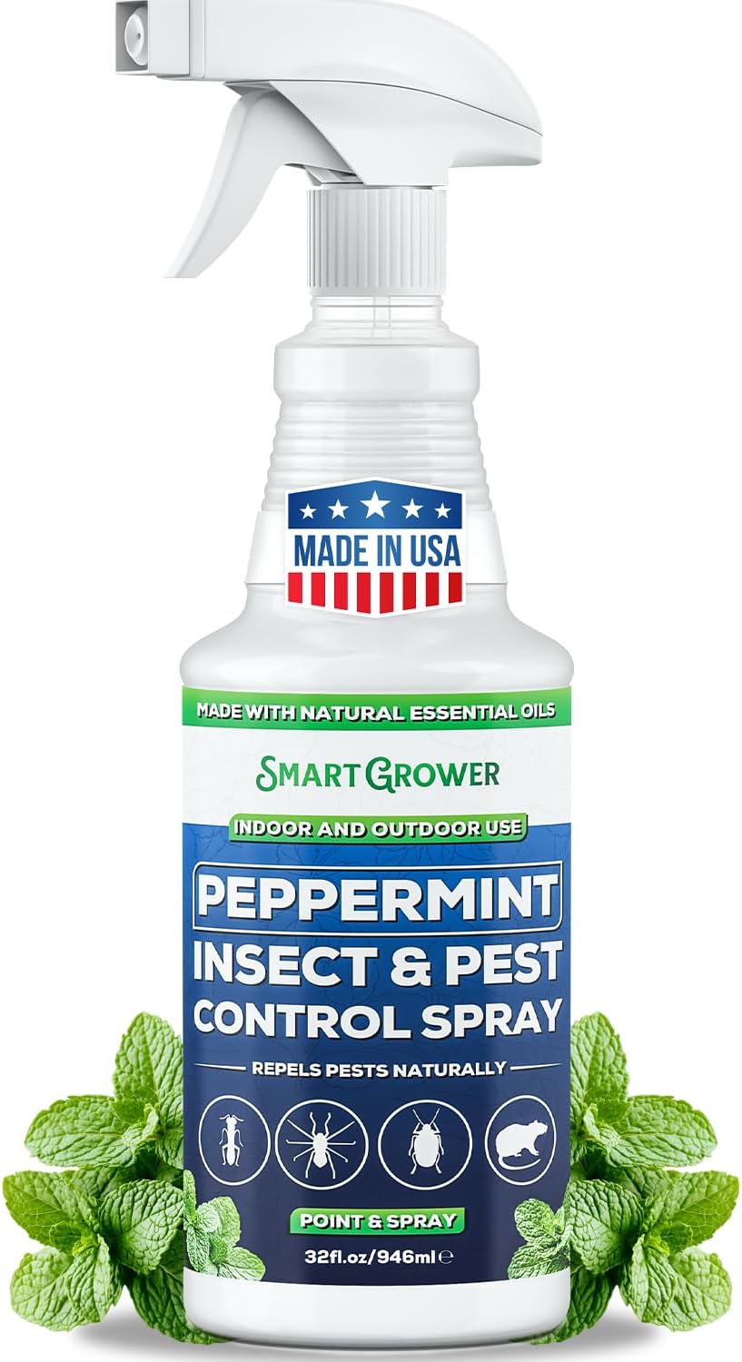 All Natural Peppermint Oil Insect Control Spray for Home Use