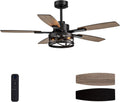52 Inch Ceiling Fans with Lights and Remote & APP Control - Modern