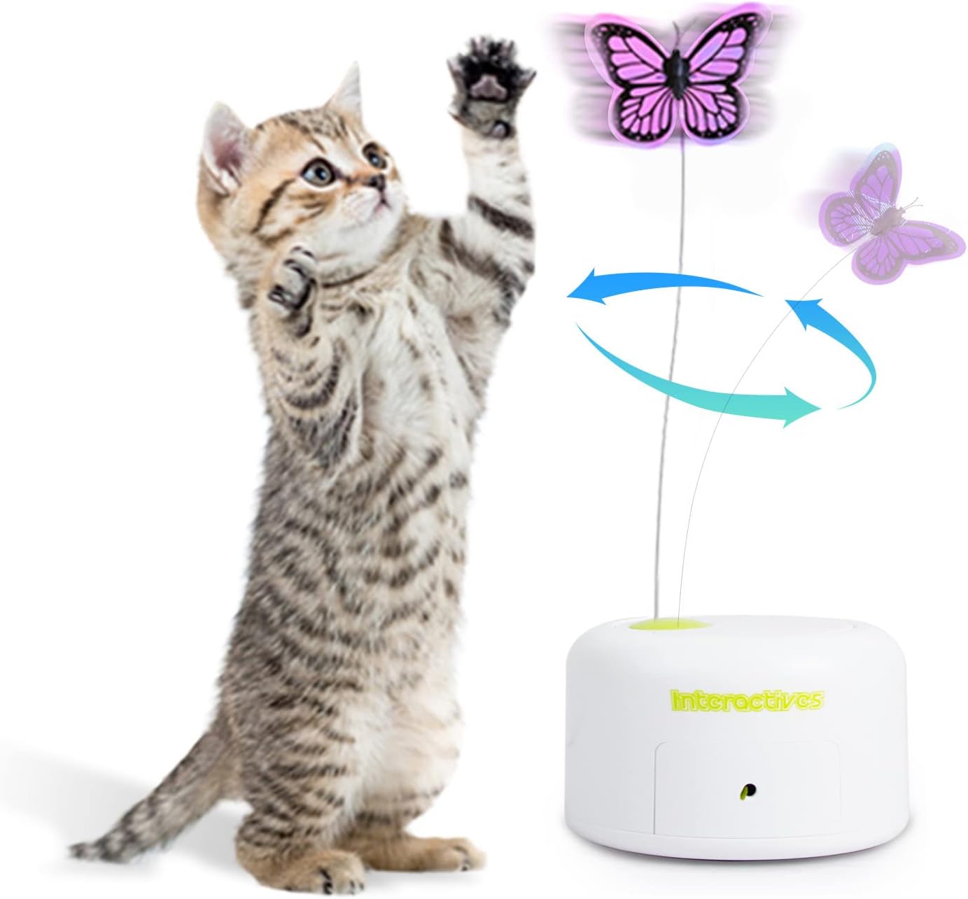 Interactive Butterfly Cat Toy Set by ALL FOR PAWS