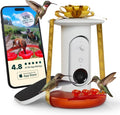 Birdbuddy Smart Solar Pro Hummingbird Feeder with Camera - 2K Video