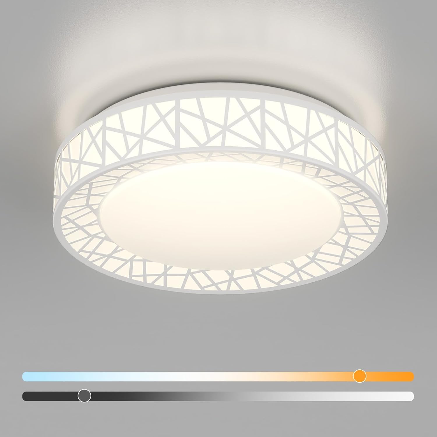 12 Inch Flush Mount Ceiling Light Fixture for Modern Spaces
