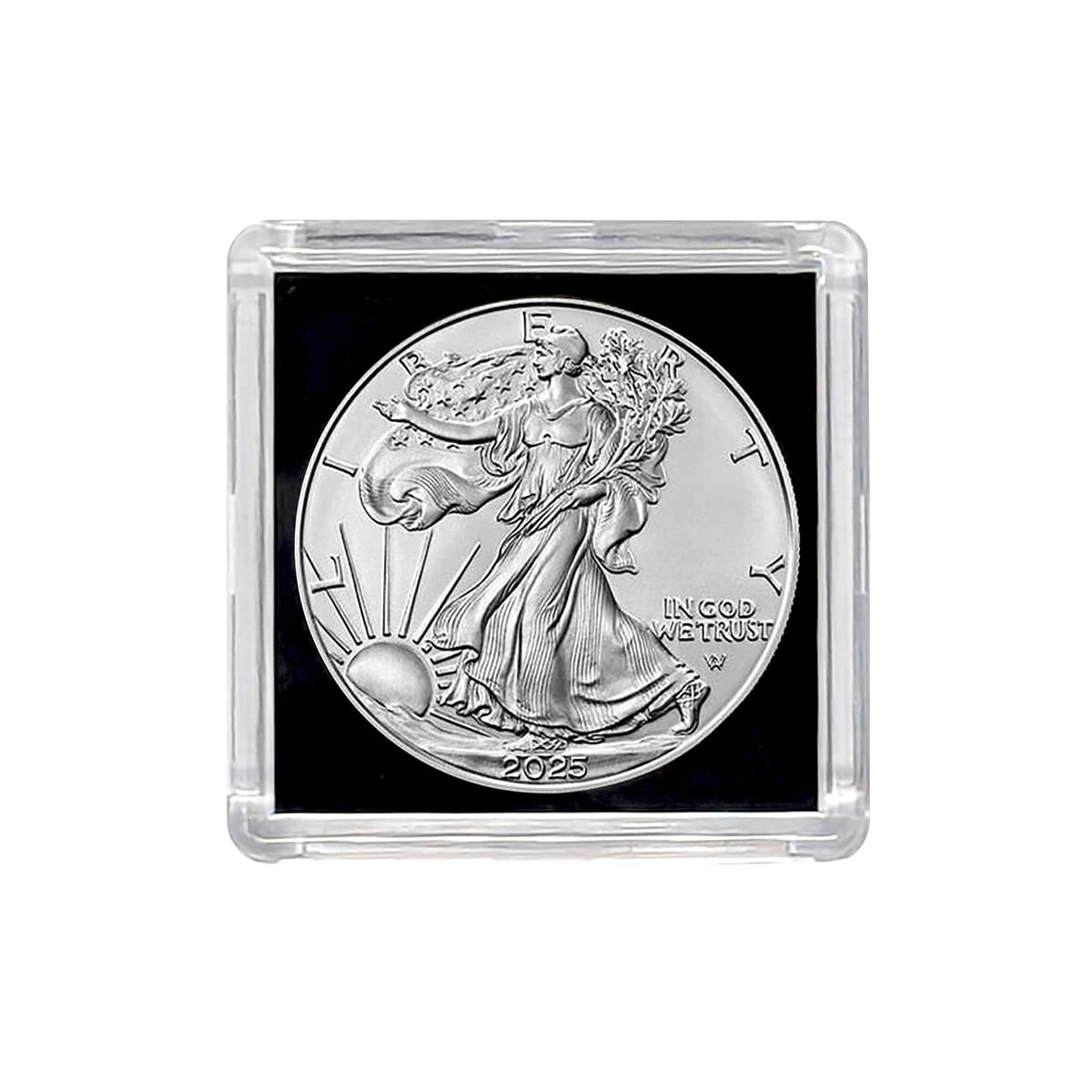 2025 American Silver Eagle Coin in Black Snap Tight Holder