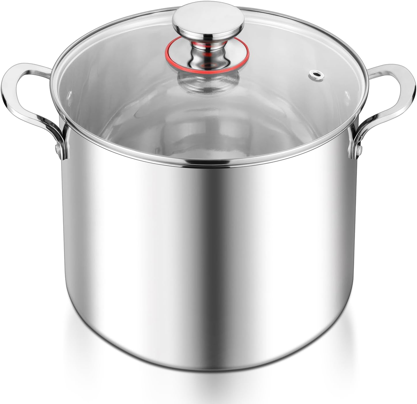 E-far 12-Quart Stock Pot for Cooking Soup and Stew