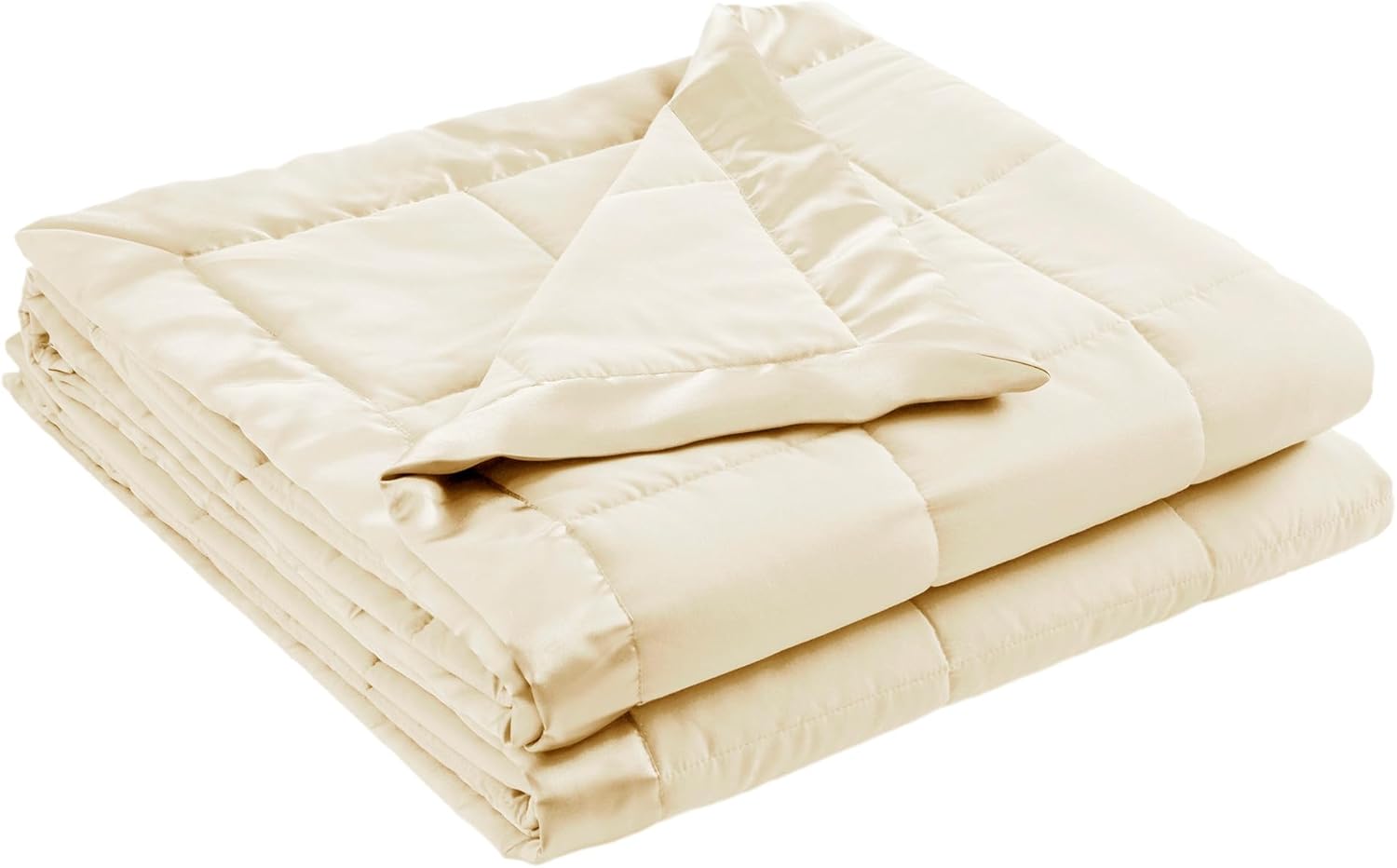 Madison Park Windom Down Alternative Blanket for All Seasons
