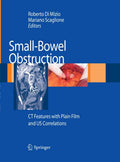Small-Bowel Obstruction: CT Features with Plain Film and US