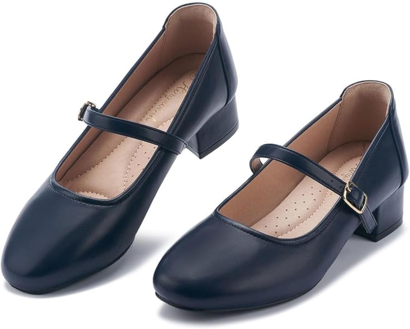 Stylish Mary Jane Shoes Low Heels Dress Pumps for Women