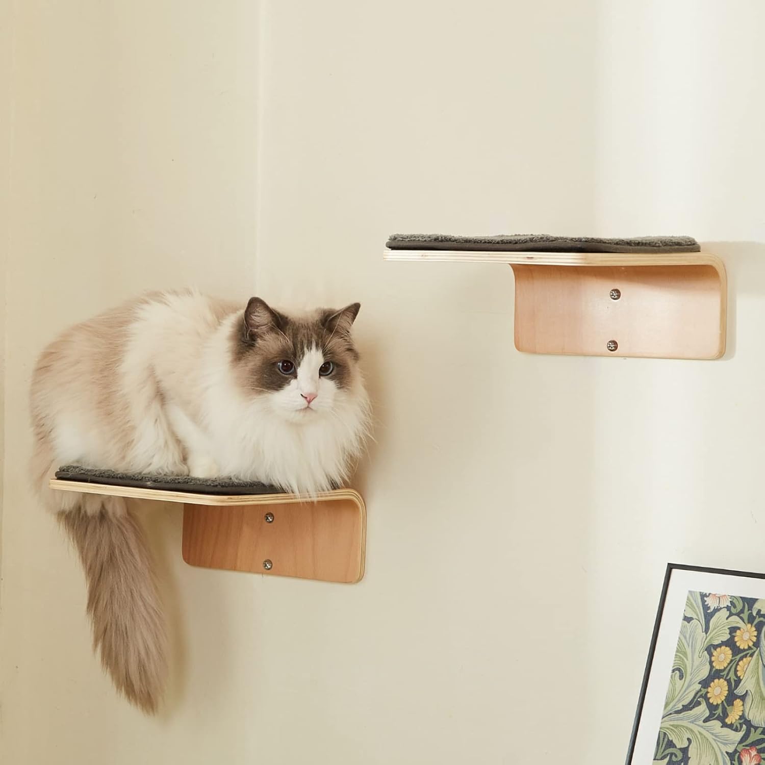 2 Set Cat Wall Steps - Wooden Cat Climbing Shelf for Wall