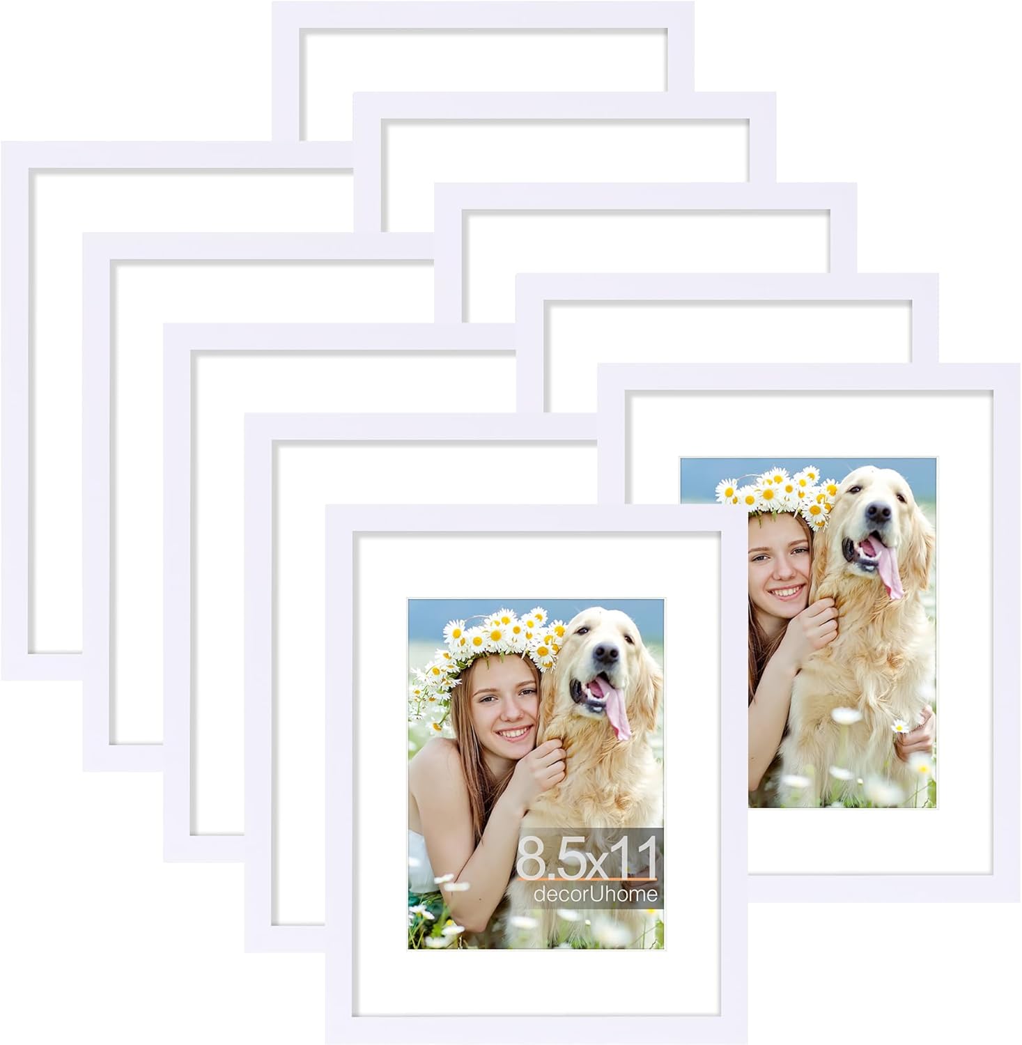 8.5 by 11 Picture Frame Set of 10 for Elegant Wall Decor