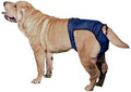 SnuggEase Washable Protective Pants Diapers for Dogs & Cats - Medium