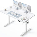 BANTI 48 24 in Standing Desk - Electric Height Adjustable