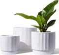 LE TAUCI Ceramic Pots for Plants Set of 3 - Sleek Ribbed Planters