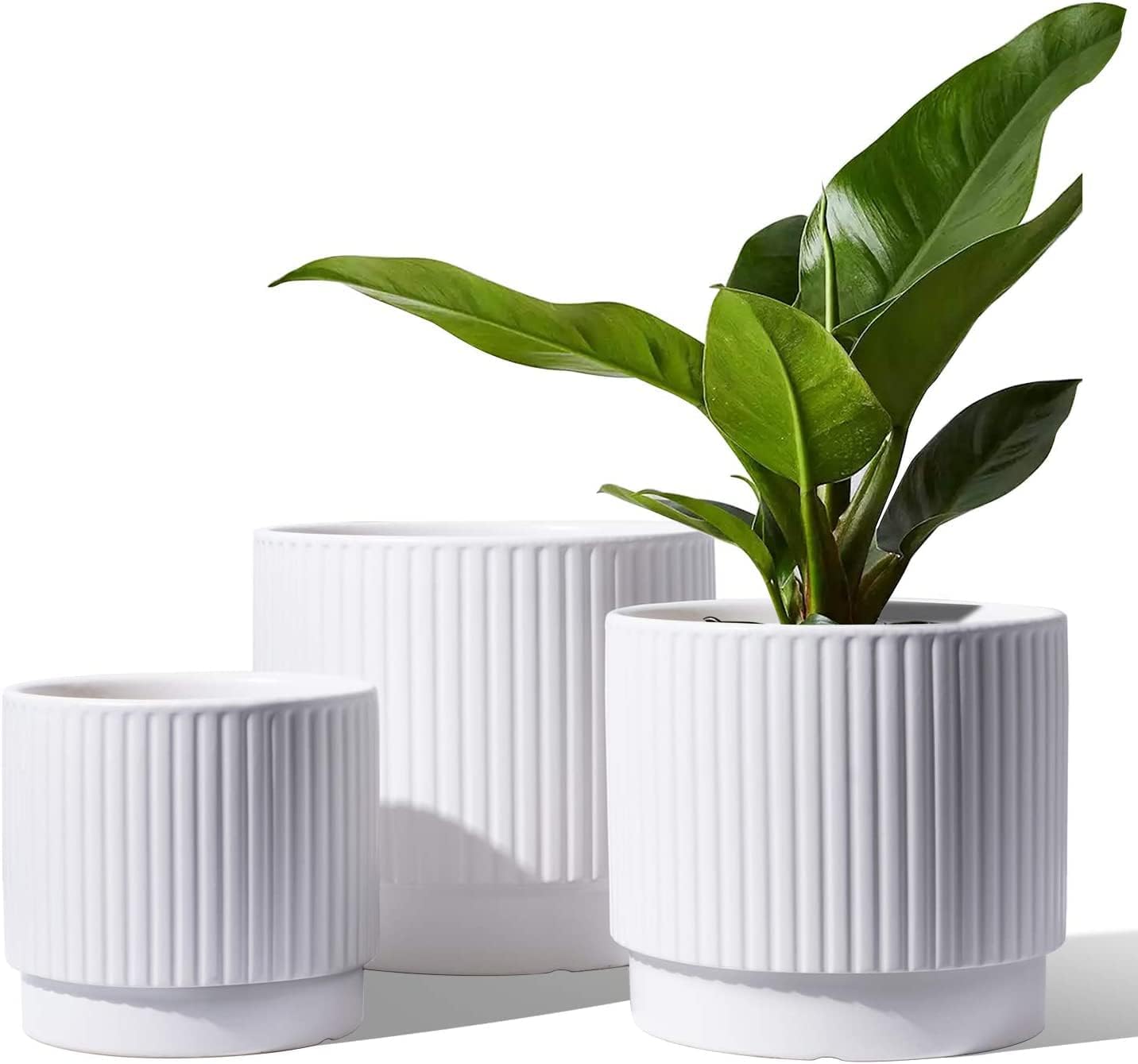 LE TAUCI Ceramic Pots for Plants - Elegant Indoor Planters