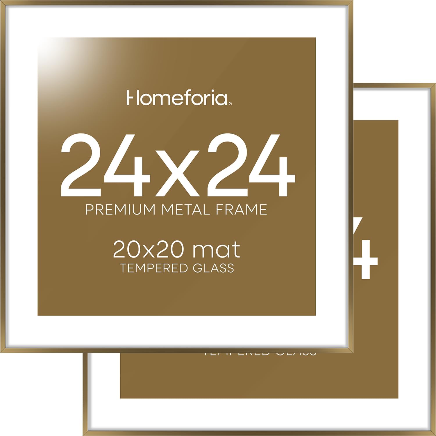 Homeforia 24x24 Picture Frame Set of 2 with Mat for Photos