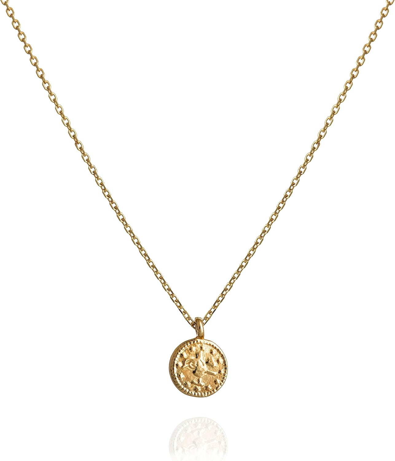 Annika Bella Medallion Choker Necklace for Women - Dainty Gift