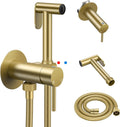 Arofa Built-in Hot and Cold Handheld Bidet Sprayer for Toilet