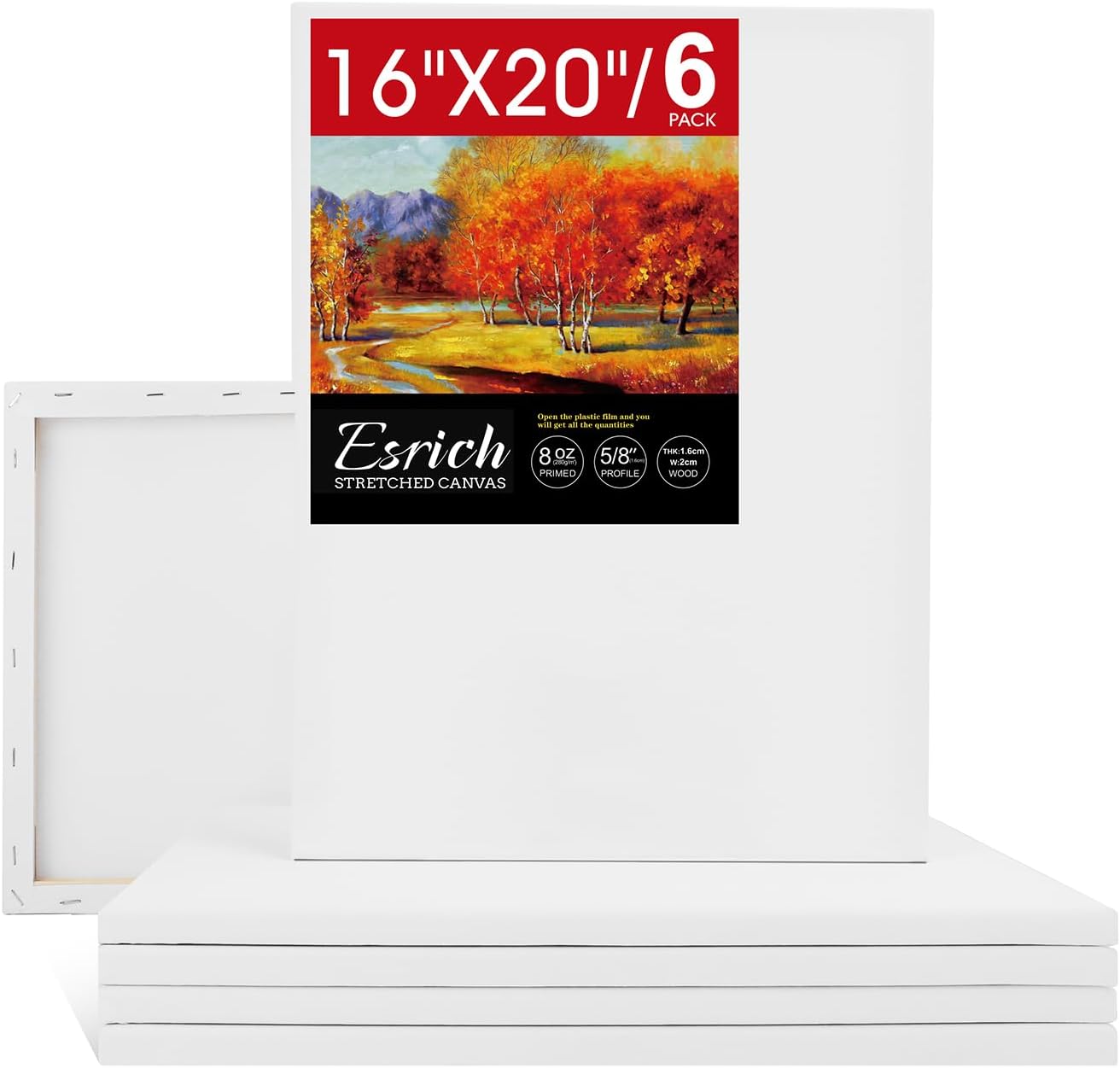ESRICH Stretched Canvas for Painting 16x20 Inch, 6 Pack Set