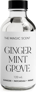 Ginger Mint Grove Diffuser Oil - Luxury 4 fl oz scent