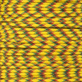 Paracord Planet 550lb Paracord for Outdoor and Crafting