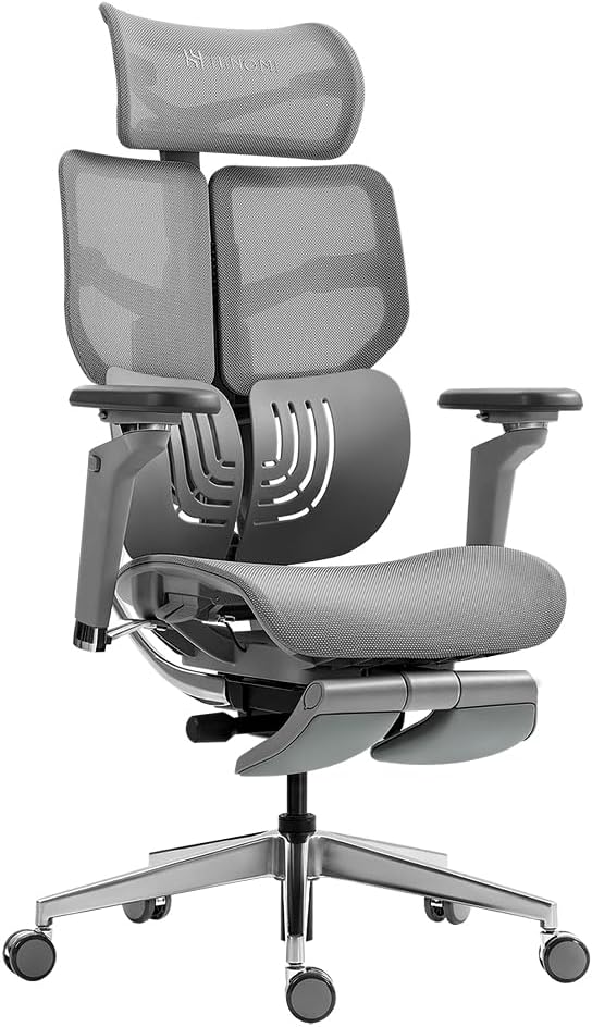 HINOMI Ergonomic Office Chair - Comfort & Support in Gray