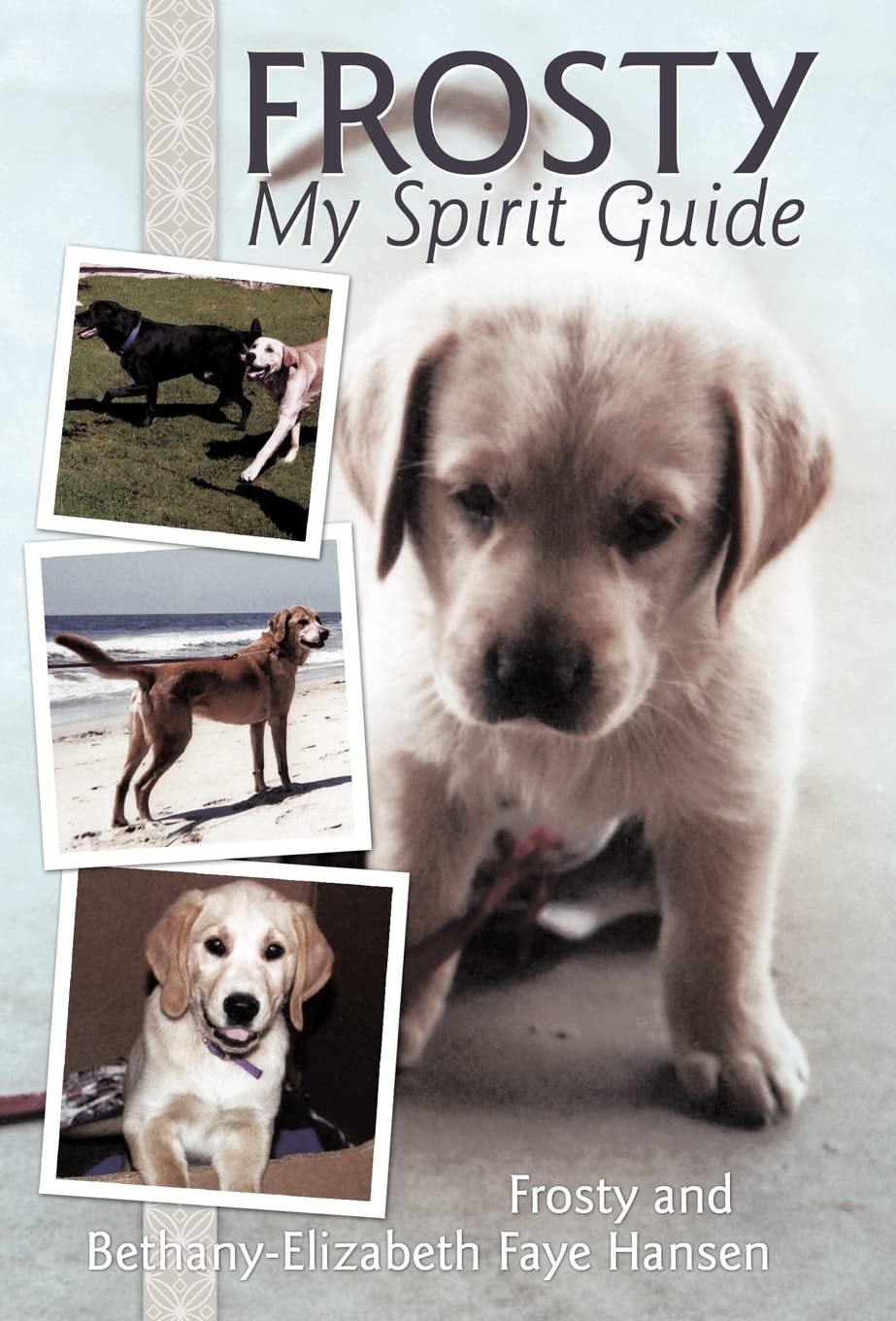 Frosty My Spirit Guide: Transforming Perceptions of Death