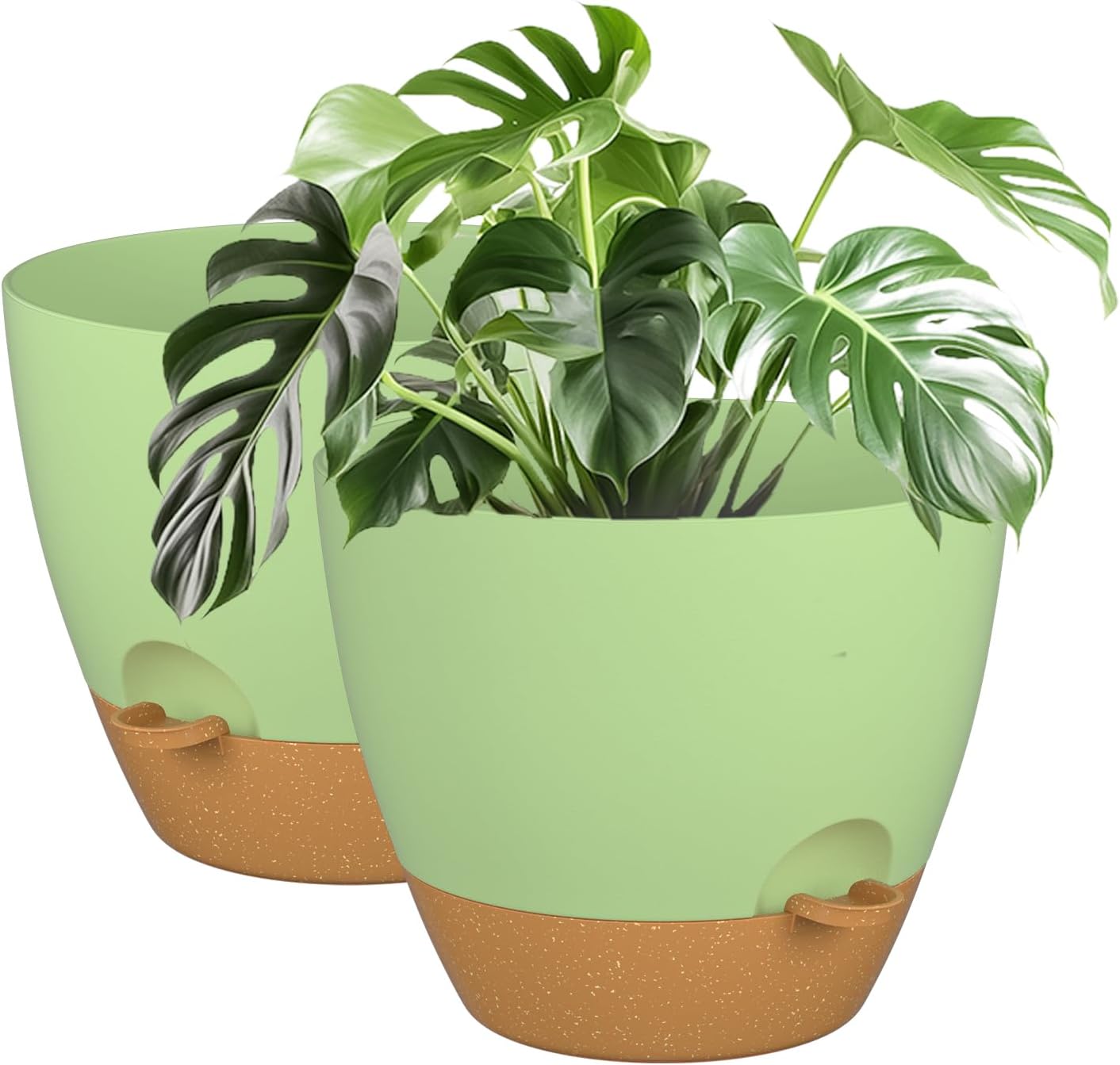 Self Watering Plant Pot Set for Indoor and Outdoor Use
