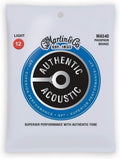 Experience Pure Sound: MARTIN Acoustic Guitar M540
