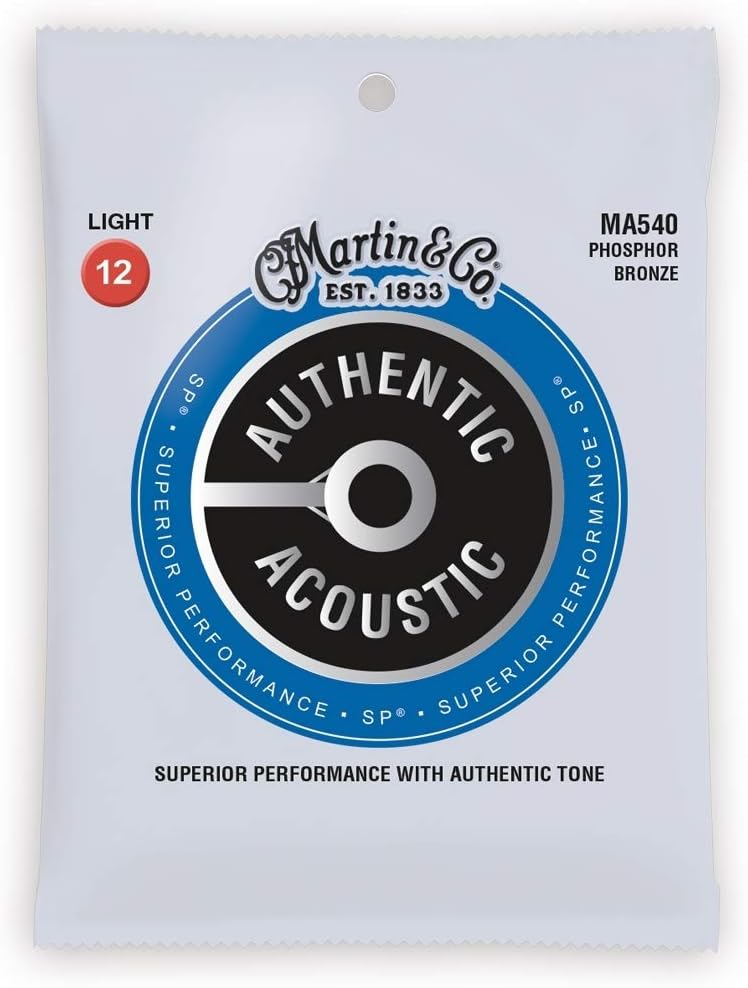 Experience Pure Sound: MARTIN Acoustic Guitar M540