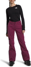 The North Face Women's Freedom Stretch Pant - Waterproof Ski Shell