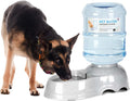 Pet Water Dispenser for Large Dogs and Multi-Pet - 3 Gallon Gravity