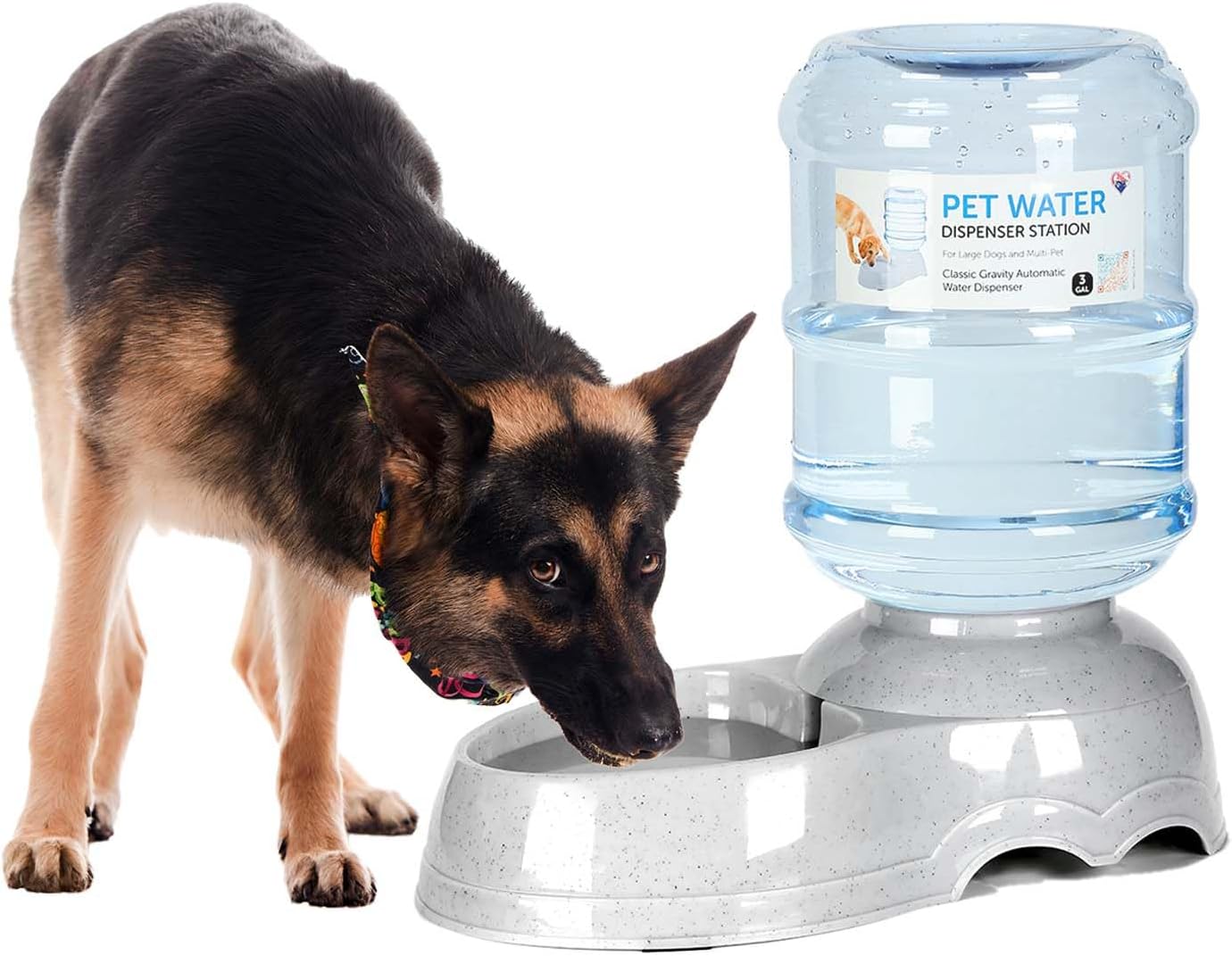 3 Gallon Dog Water Dispenser for Large Dogs and Multi-Pet Homes