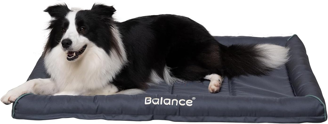 Heavy Duty Waterproof Dog Bed for Large Breeds - 36 in Comfort