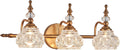 Vintage Vanity Light Fixture, 3 Lights Bathroom Lighting - Elegant