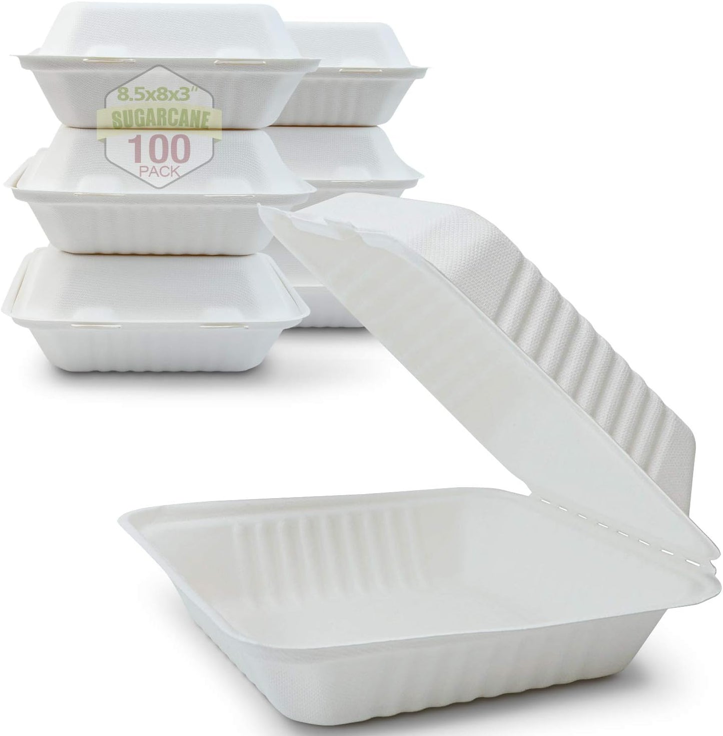Compostable Clamshell Take-Out Boxes - 100 Count, 8-Inch Size