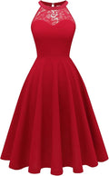 Women Halter Lace A-Line Cocktail Dress - Short Vintage Party