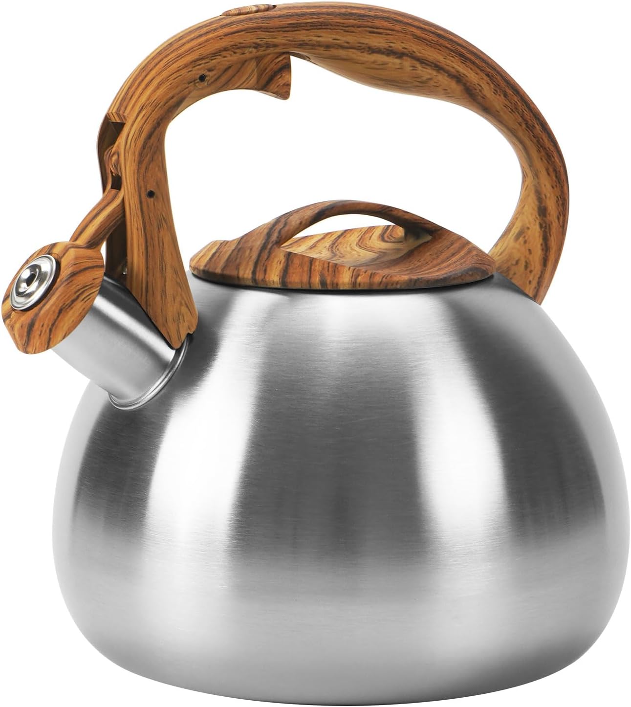 Classic Stainless Steel Whistling Kettle 3.2 Quart for Home