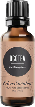 Ocotea Essential Oil 100% Pure - Warm Spicy Aromatherapy