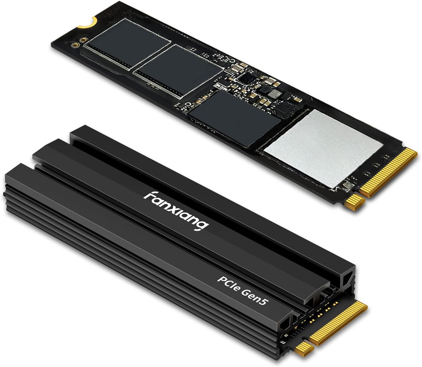 fanxiang S900 1TB PCIe 5.0 NVMe M.2 SSD for High-End Computing