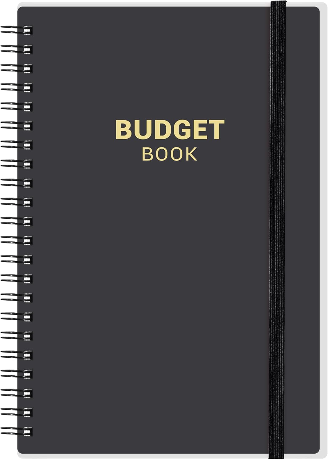 Financial Organizer - Frasukis Budget Planner