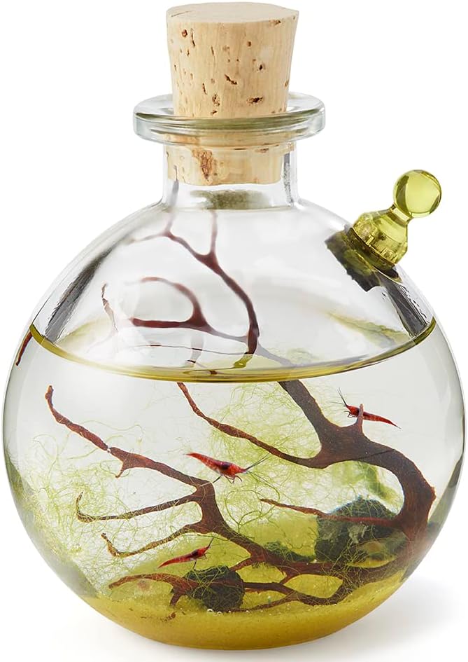 Shrimp Bubble Self-Sustaining Ecosystem for Home or Office