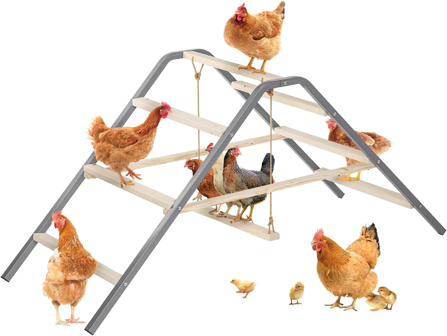 PETSFIT Chicken Roosting Bar for Healthy Poultry and Fun Play